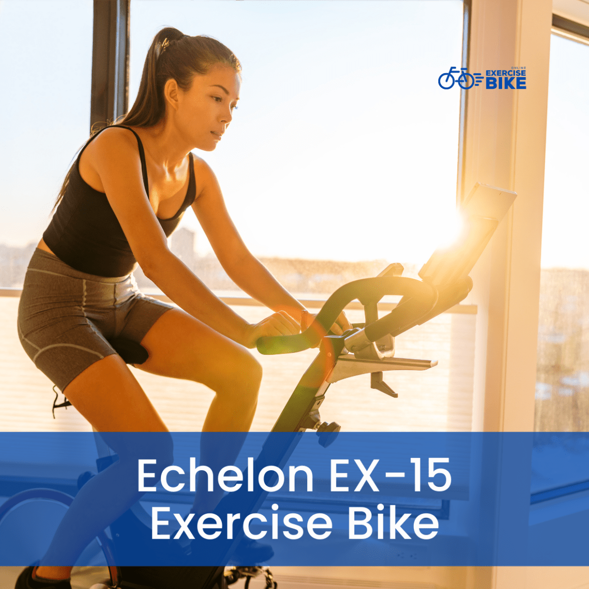 Echelon EX-15 Exercise Bike